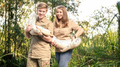 Imagen de The Irwins (T1): Ojos de tigre - 2