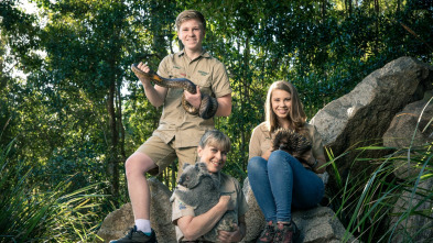 Imagen de The Irwins (T1): La isla de los lémures de Bindi - 2