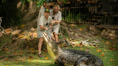 Imagen de The Irwins (T2): Historia de amor de cocodrilos - 2