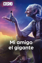 Imagen de Mi amigo el gigante - 1
