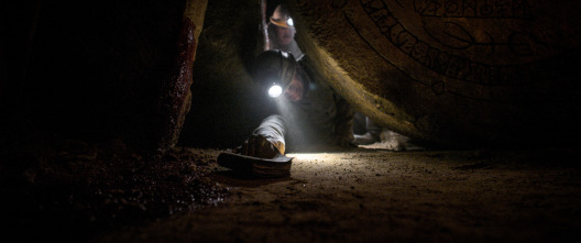 Imagen de Oscuridad total - 12