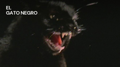 Imagen de El gato negro - 3