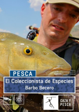 Imagen de El coleccionista de especies: Barbo becero - 1