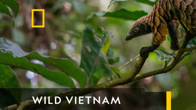 Imagen de Wild Vietnam  - 7
