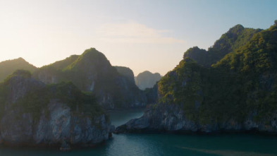 Imagen de Wild Vietnam: El sur tropical: tierra de agua - 1