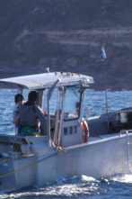 Imagen de Pesca extrema en... (T3): Vuelta a los negocios - 1