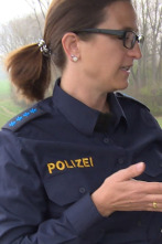 Imagen de A8. emergencia en... (T4): Ep.11 - 1