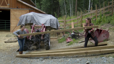 Imagen de Mi familia vive en Alaska (T5) - 8
