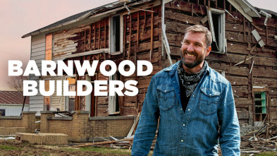 Imagen de Barnwood Builders (T10) - 2