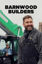 Imagen de Barnwood Builders (T10) - 1