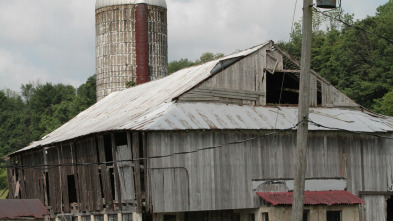 Imagen de Barnwood Builders (T10): Peligro en el establo - 2