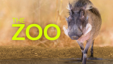 Imagen de El zoo del Bronx (T5) - 2
