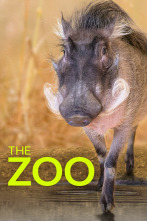 Imagen de El zoo del Bronx (T5) - 1
