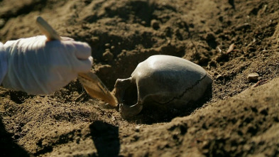 Imagen de La prueba del crimen: Hasta que la muerte nos separe - 2