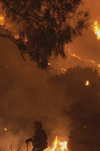 Bomberos de...: El diablo viene hacia ti