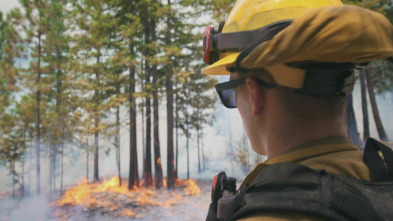 Bomberos de California: Napa arde