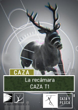 Imagen de La recámara (T1) - 1