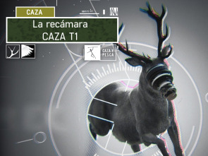Imagen de La recámara (T1) - 3