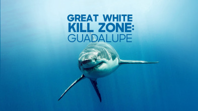 Imagen de Zona de la gran matanza blanca: Guadalupe - 2