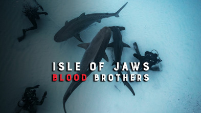 Imagen de Hermanos y tiburones - 2