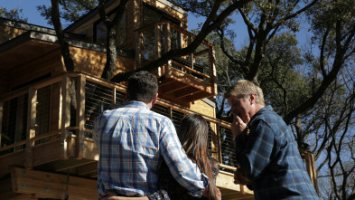 Mi casa en un árbol: Lujo en los árboles