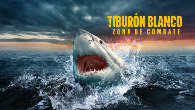 Imagen de Tiburón blanco: zona de combate - 2