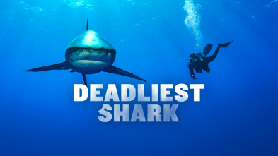 Imagen de Los tiburones más mortales - 2