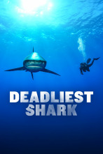 Imagen de Los tiburones más mortales - 1