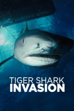 Imagen de La invasión del tiburón tigre - 1
