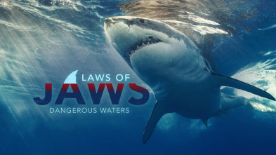 Imagen de Tiburones: aguas peligrosas - 2