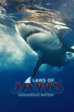 Imagen de Tiburones: aguas peligrosas - 1