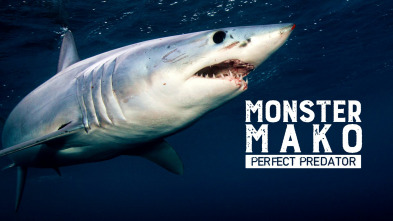 Imagen de El gran mako: depredador perfecto - 2