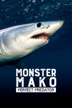 Imagen de El gran mako: depredador perfecto - 1