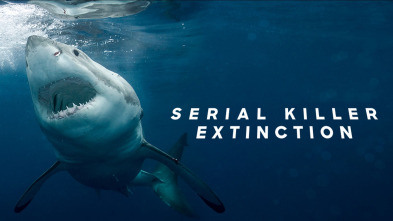 Imagen de La extinción del tiburón blanco - 2