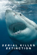 Imagen de La extinción del tiburón blanco - 1
