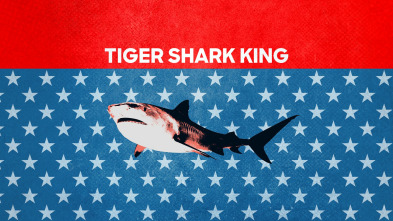 Imagen de El rey de los tiburones tigre - 2