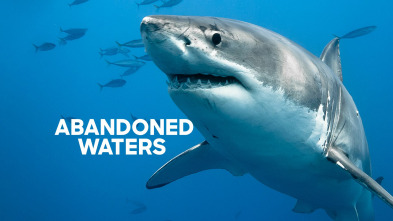 Imagen de Abandoned Waters - 2