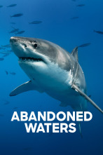 Imagen de Abandoned Waters - 1