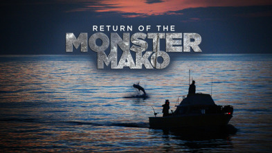 Imagen de El retorno del tiburón mako - 2