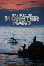 Imagen de El retorno del tiburón mako - 1