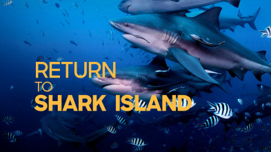 Imagen de Retorno a la isla de los Tiburones - 2