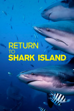 Imagen de Retorno a la isla de los Tiburones - 1