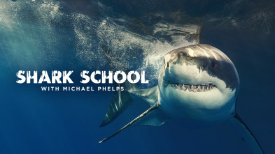 Escuela de tiburones con Michael Phelps