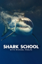 Escuela de tiburones con Michael Phelps