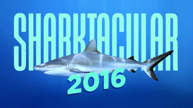 Imagen de Sharktacular - 2
