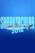 Imagen de Sharktacular - 1