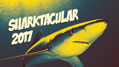 Imagen de Sharktacular 2 - 2