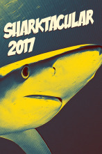 Imagen de Sharktacular 2 - 1