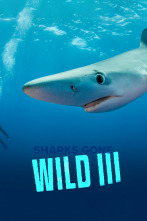 Imagen de Tiburones.com 3 - 1