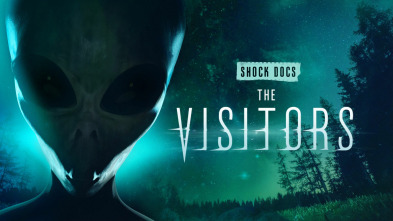 Imagen de Los visitantes: abducción alien - 2